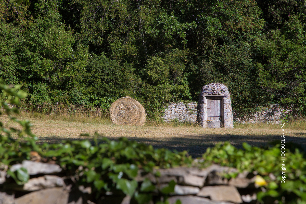 Campagne aux alentours du Château du Javon 