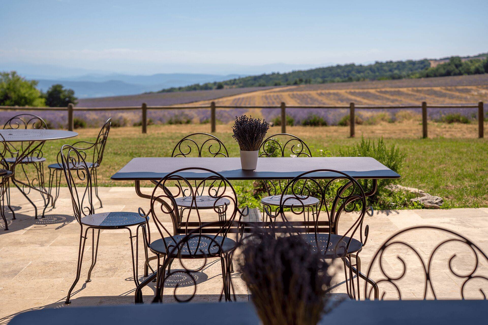 Table sur la terrasse de l'ancienne distillerie avec vue sur les champs de lavande fine du Domaine
