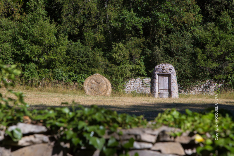 Campagne aux alentours du Château du Javon 
