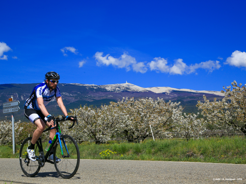 Cycliste au pied du Mont Ventoux