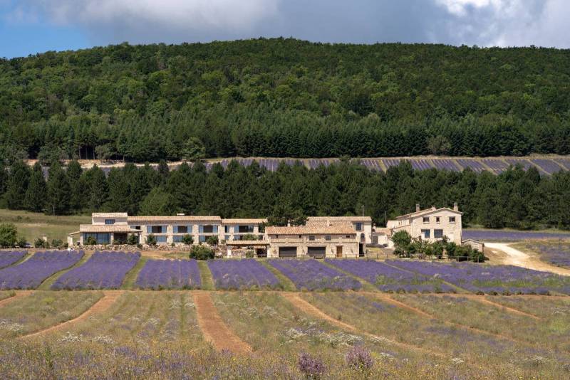 La bâtisse du Domaine Château du Bois, vue depuis les champs de lavande fine de Provence