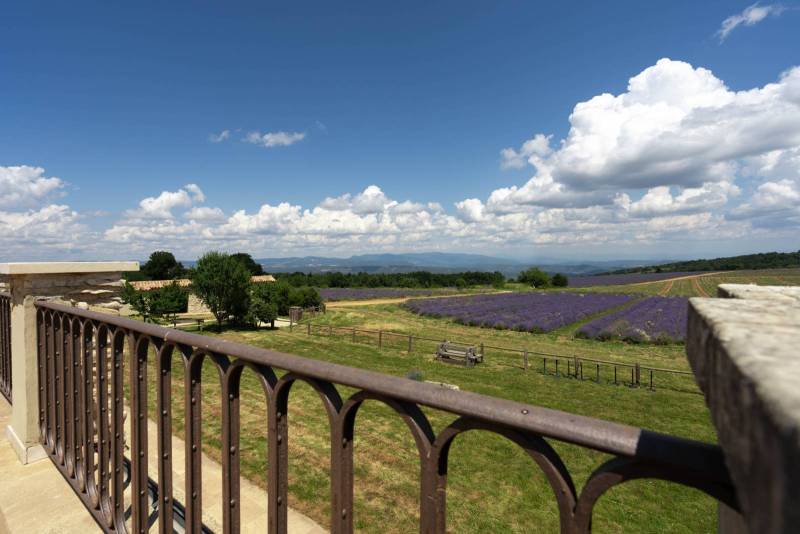La vue sur les pré-alpes et les champs de lavande fine du Domaine Château du Bois depuis la Suite Bénézet