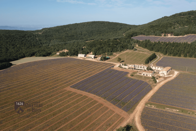Vue drone des gîtes, le mas Provençal en pierre rénové entouré par les champs de lavande en fleur
