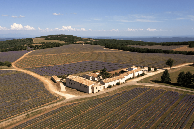 Vue en drone de la bâtisse du Domaine Château du Bois au milieu des champs de lavande fine de Provence