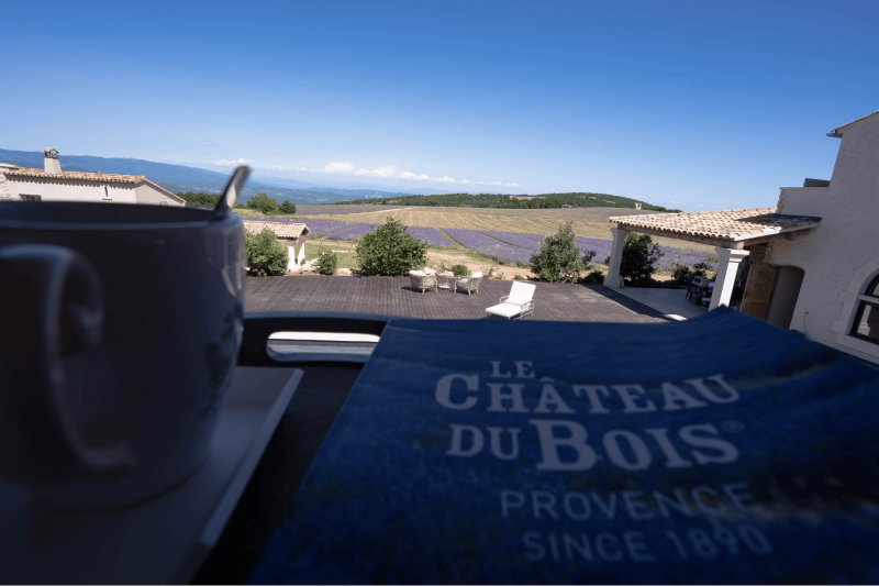 Vue sur les champs de lavande du Domaine Château du Bois depuis la Chambre Deluxe Elzéar