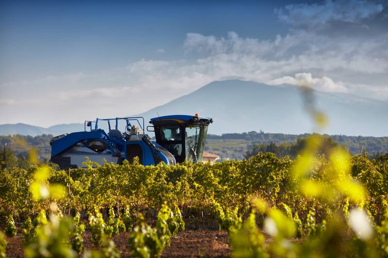 Vignoble, vigneron indépendant Sarrians Domaine Fontaine du Clos