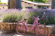 Le Musée de La Lavande à Cabrières d'Avignon dans le Luberon