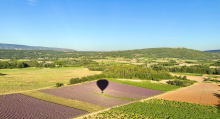 Nos prestations sur le secteur de proche Valensole (04210), Alpes-de-Haute-Provence
