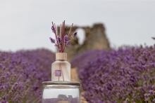 Producteur distillateur de lavande fine et fabricant de cosmétiques certifiés bio Lagarde d'Apt, Coustellet, Luberon, Provence Le Château du Bois Provence