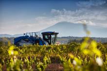 Vignoble, vigneron indépendant Sarrians Domaine Fontaine du Clos